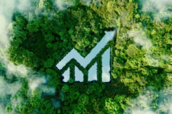 长安汽车辟谣网传“取消年终奖”：不实信息